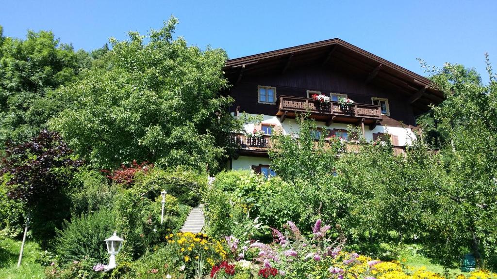 Zomer indrukken Bloeiende natuur, warme zonnestralen, veel frisse lucht, zachte beweging. Breng ontspannende, zomerse dagen door in onze prachtige tuin of ontdek de omgeving in heerlijke temperaturen. Of je nu wilt sporten of gewoon ontspannen.